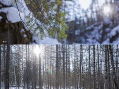 -峡谷浮石林景区