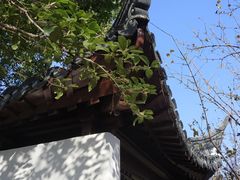 -秋霞圃