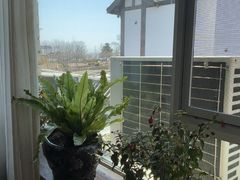 -慢丽江·云南野生菌土鸡锅(付家庄店)