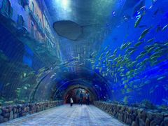 -华夏文旅海洋公园