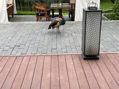 -阳朔悦榕庄·明月西餐厅&清风吧