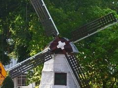 -荷兰红屋