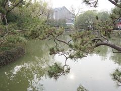 -上海醉白池公园