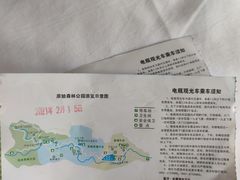 -西双版纳原始森林公园