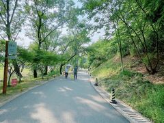 -佛手湖郊野公园