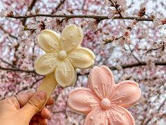 -桃花堤公园