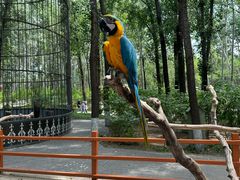 -北京野生动物园