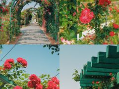 -上海辰山植物园