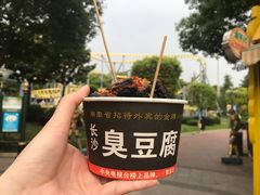 -国色天乡三期陆地乐园