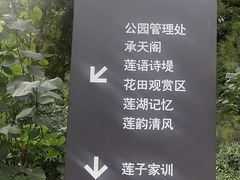 -莲湖公园