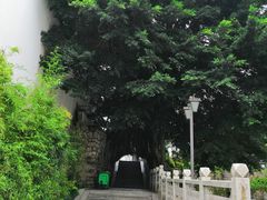 -乌山风景区