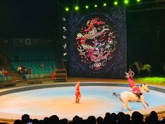 -中国马镇舞马世界主题乐园