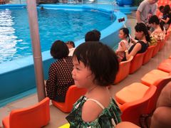 -尼莫海豚馆
