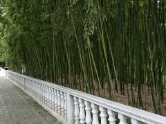 -荆川公园