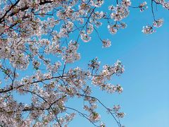 -苏州上方山国家森林公园