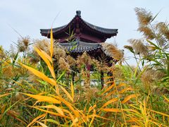 -水西公园