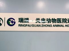 -瑞派·关忠动物医院·异宠专科·犬猫肿瘤·皮肤专科(望京店)