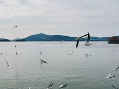 -无锡蠡湖国家湿地公园-蠡园