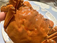 花雕螃蟹-颂福楼·南京菜(定淮门店)