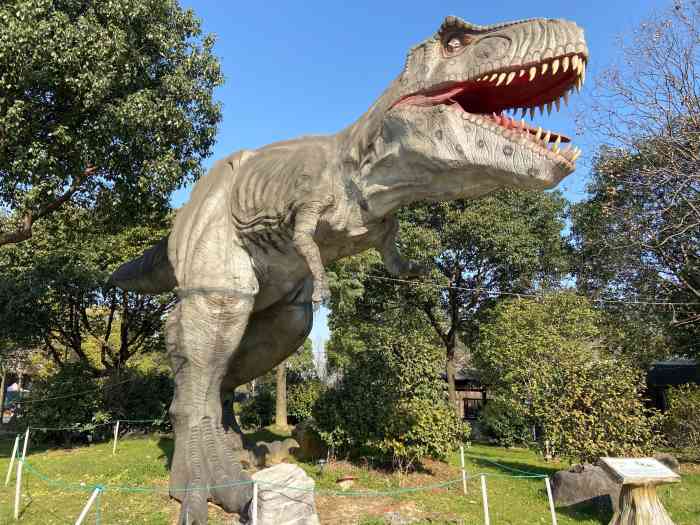 杭州恐龙梦公园-"坐标:杭州恐龙03梦公园,地址:双浦,公.