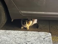 -便利蜂(广安门内大街319号店)