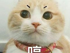 -必胜客(航洋国际店)