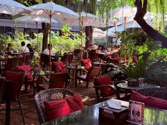 -Fern Forest Cafe