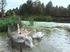 -宁波杭州湾国家湿地公园