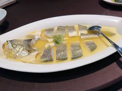 清蒸生态大黄鱼-麟1929(外滩店)
