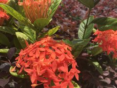 -那琴半岛地质海洋公园