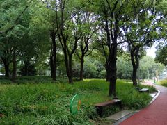 -北外滩滨江绿地