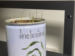-很久以前羊肉串(打浦路店)