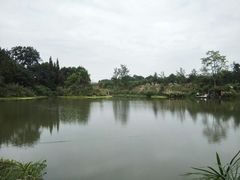 -桤木河湿地公园