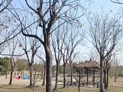 -广富林郊野公园
