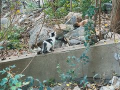 -云龙山