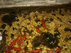 -盤古Spa泰式古法抓龙筋(鲁迅路店)