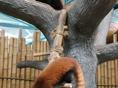 -石家庄市动物园