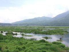 -腾冲北海湿地