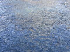 -九眼桥码头旧址