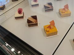 -BLACKSWAN黑天鹅(环球店)