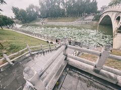 -赵州桥景区
