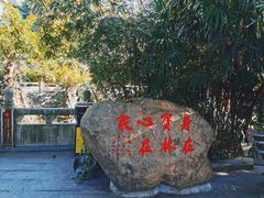 -国恩寺