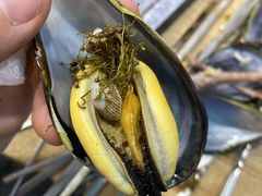 青口贝-老虎滩大连海鲜烧烤(建邺云锦路总店)