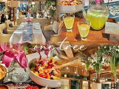 -一棵树·意大利西餐厅One Tree(新城店)