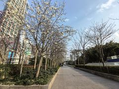 -人民广场