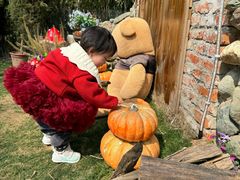 -HERRE·FARM 赫尔露营农场·团建聚会包场