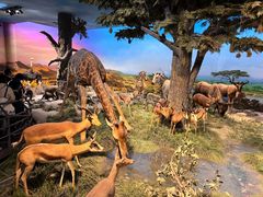 -国家自然博物馆