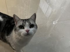 -达爱动物医院·犬猫分区·CT·复杂眼科(远洋山水分院)