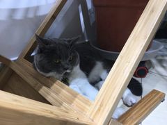 -小时光咖啡馆(开森度假森林店)