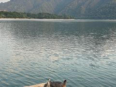 -黄山太平湖风景区